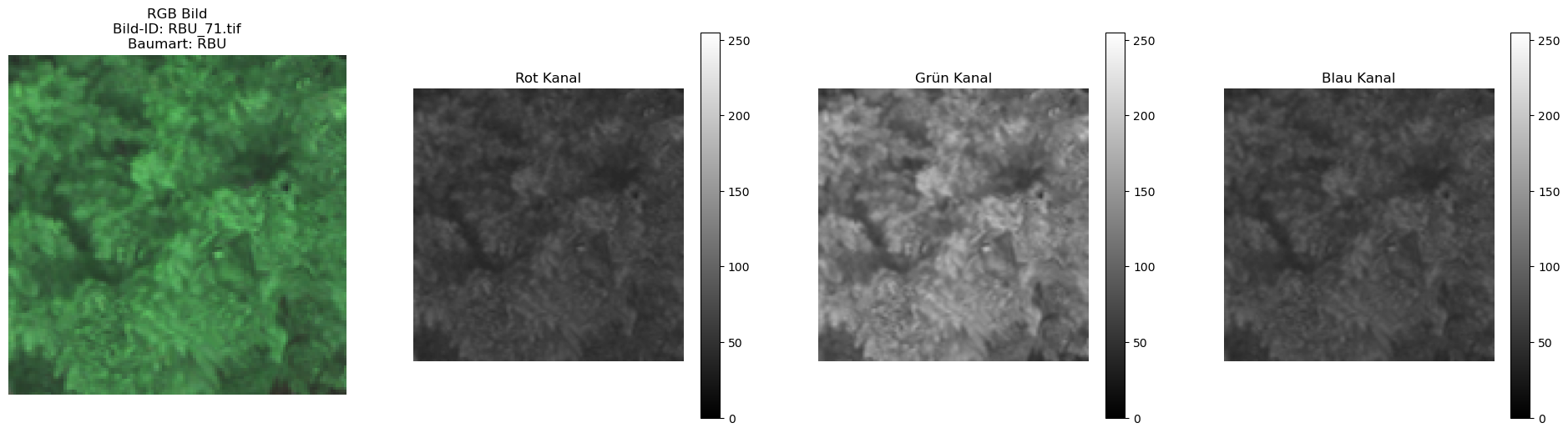 ../../../_images/3e8afdf6ce940f0b3f9466f4ef786e520a793871e3eca4ce0fb7d8423729d334.png